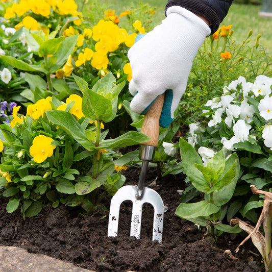 Stainless Steel Hand Fork