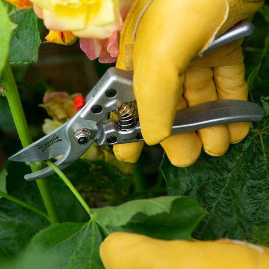 Razorcut Comfort Medium Bypass Pruner