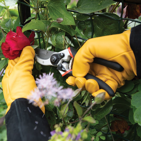 Razorcut Pro Straight Bypass Pruner