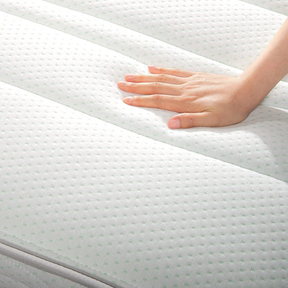 Zinus 8 Inch Foam and Spring RV Mattress, Short Queen Size for RVs, Campers & Trailers, Mattress in A Box, White